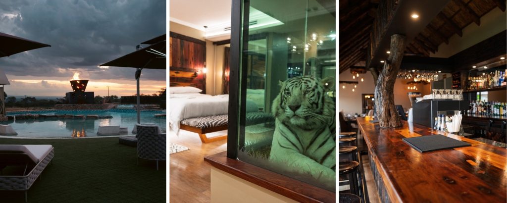1 Day | Wild Cat Sanctuary and Spa day